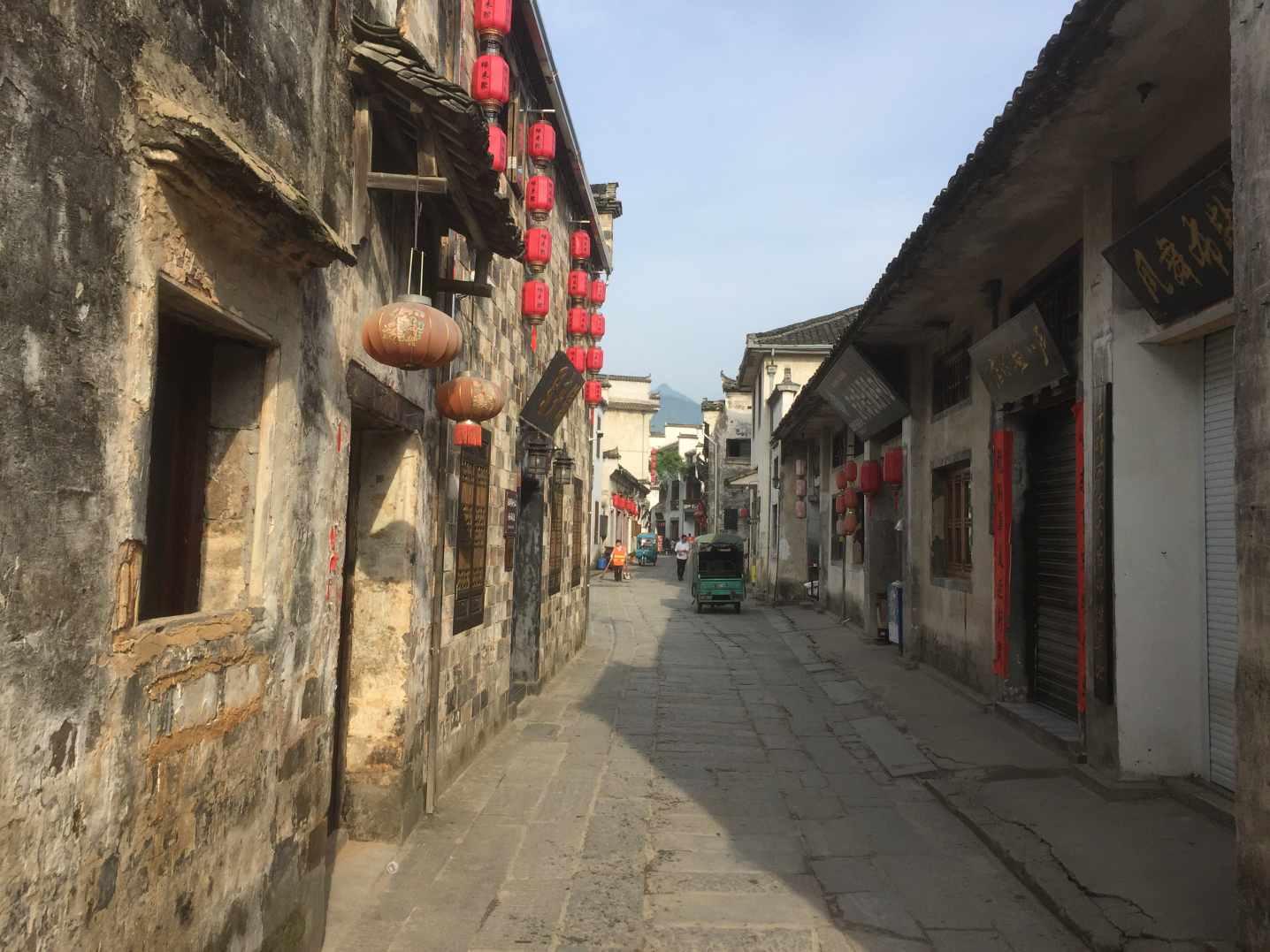 卡通考拉救援